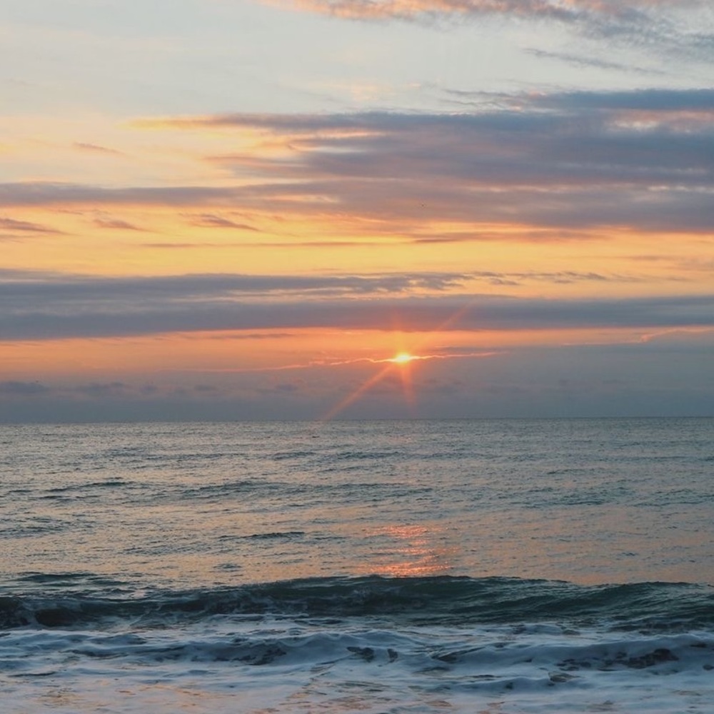 Meet your Posher, Elelizabeth